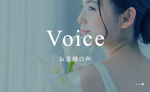 Voice