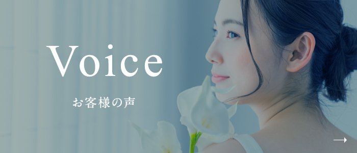 Voice